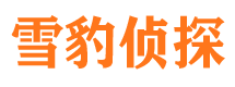 龙岗私家侦探公司